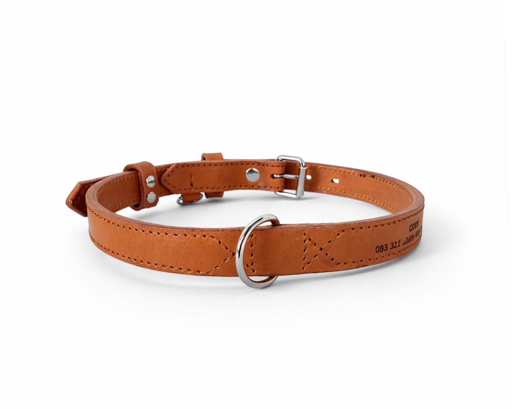Leather dog collar