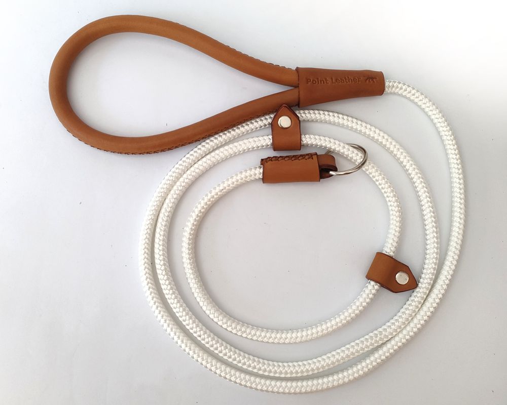Slip show leash with leather trim