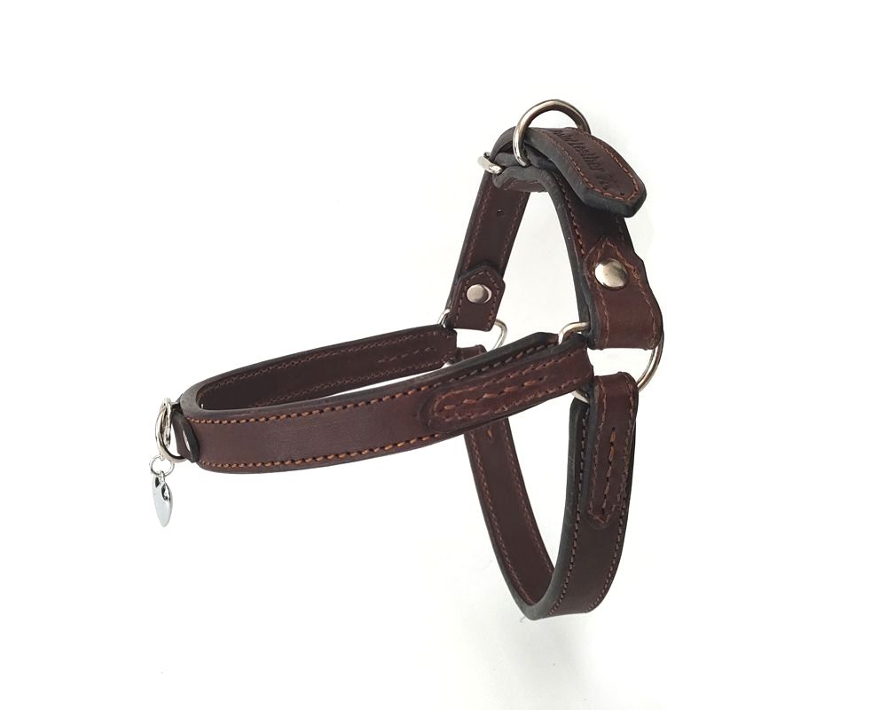Leather harness for small dogs