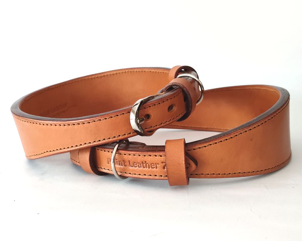 Greyhound - whippet collar