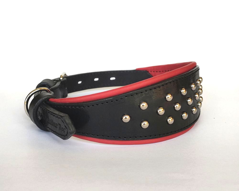 Greyhound collars with studs