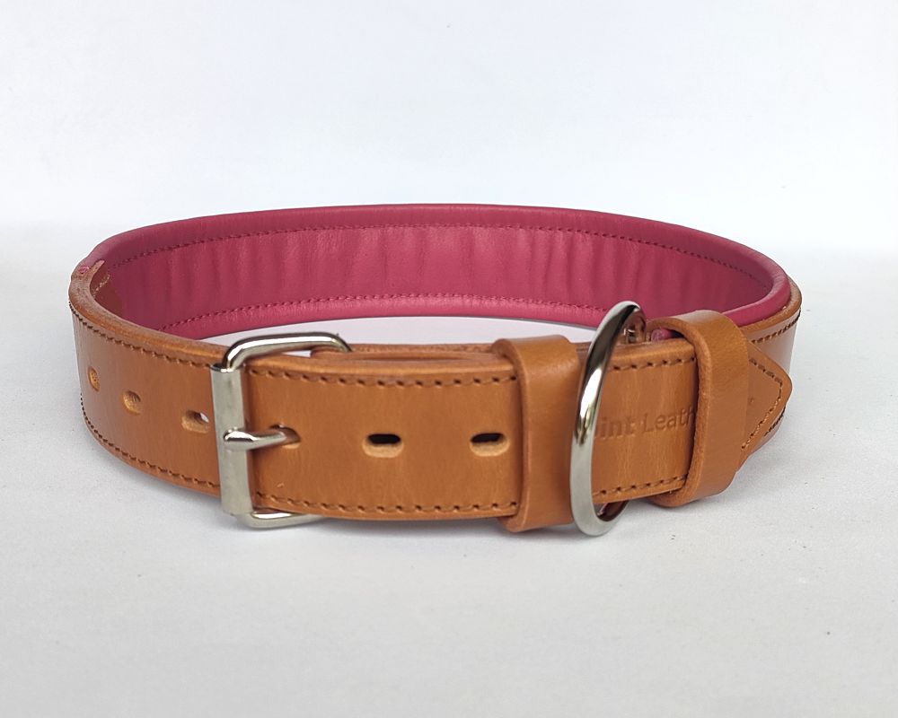 Lined leather dog collar