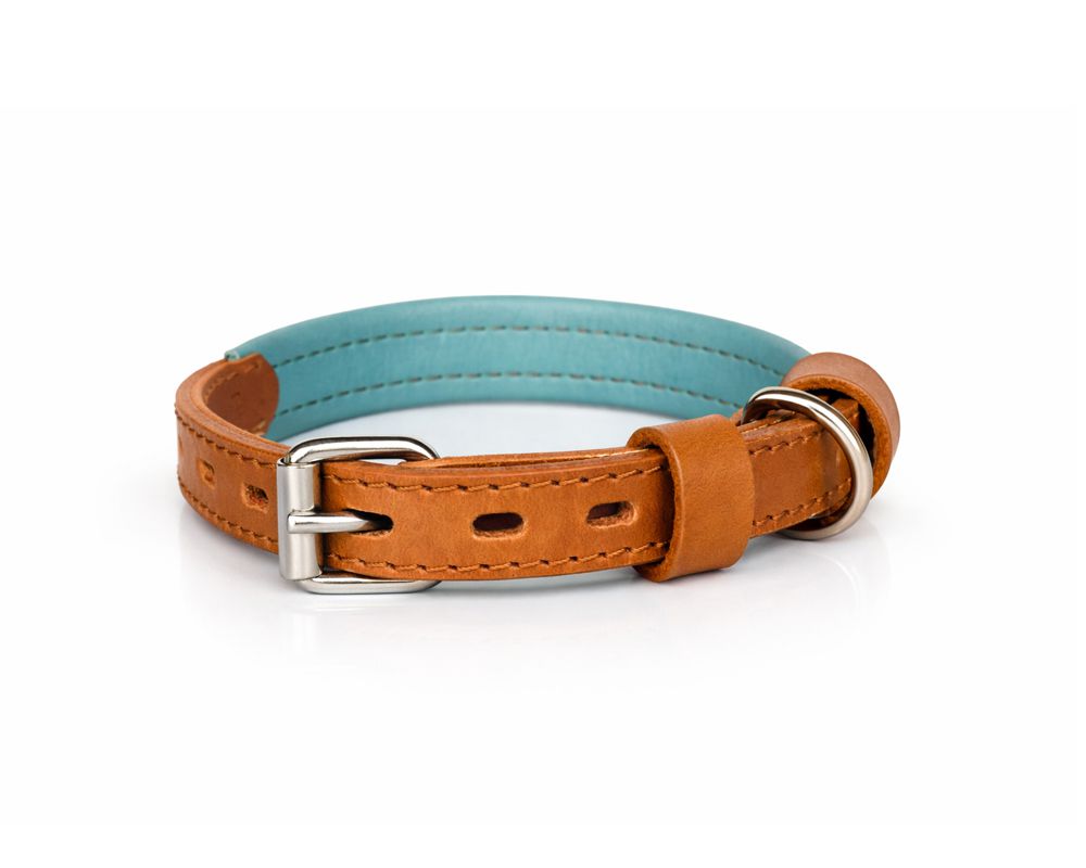 miniature dog collar