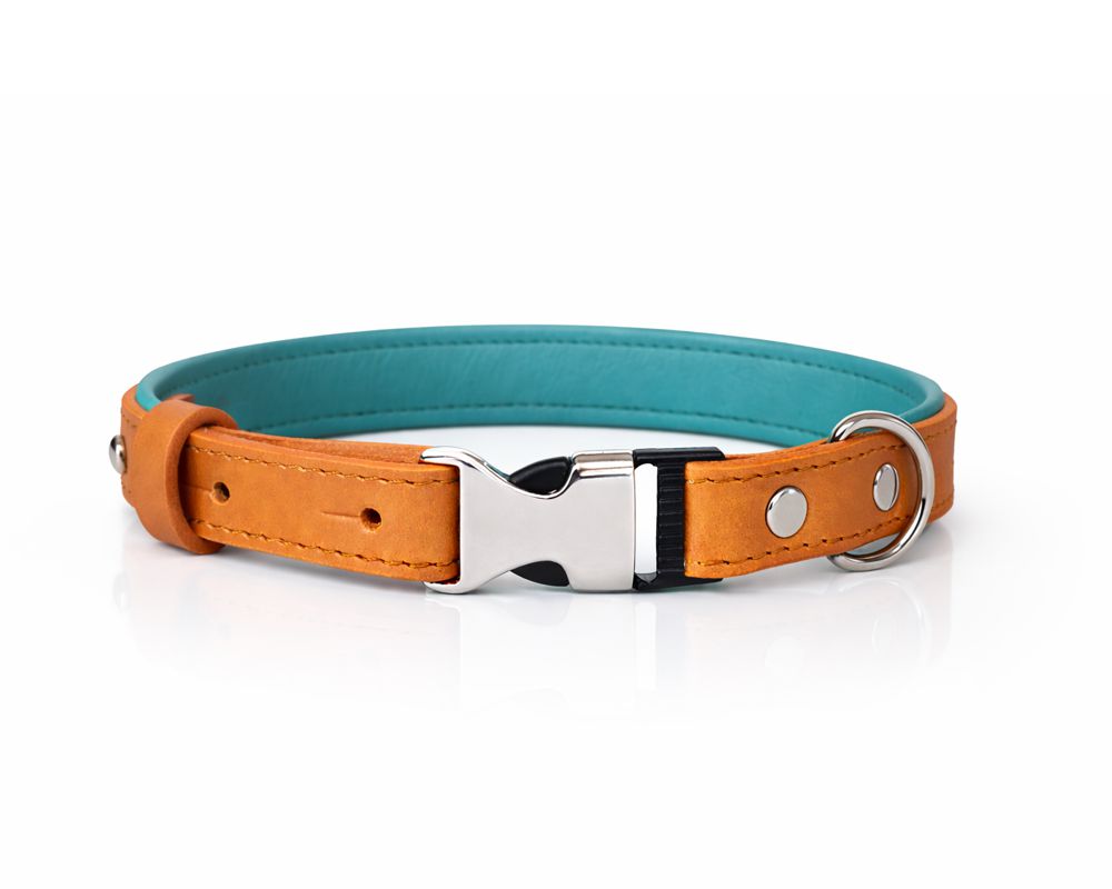Quick-release leather collar