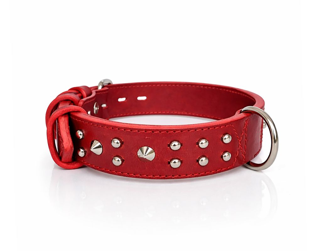 Bully collar with studs