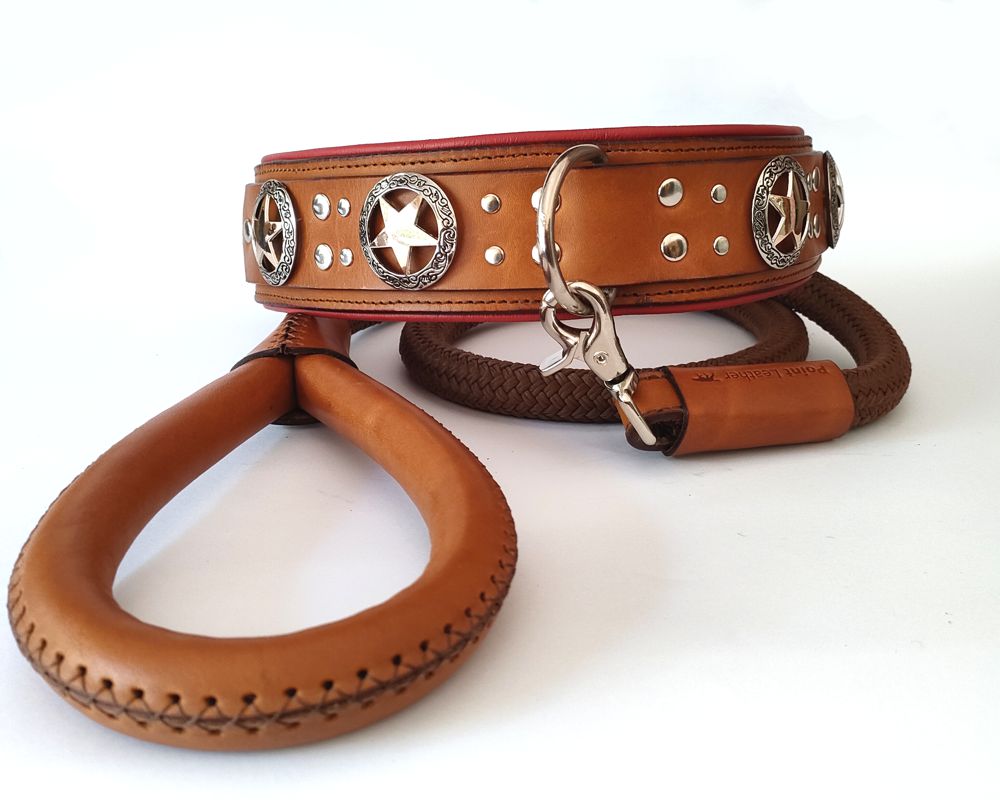 Custom leather collars