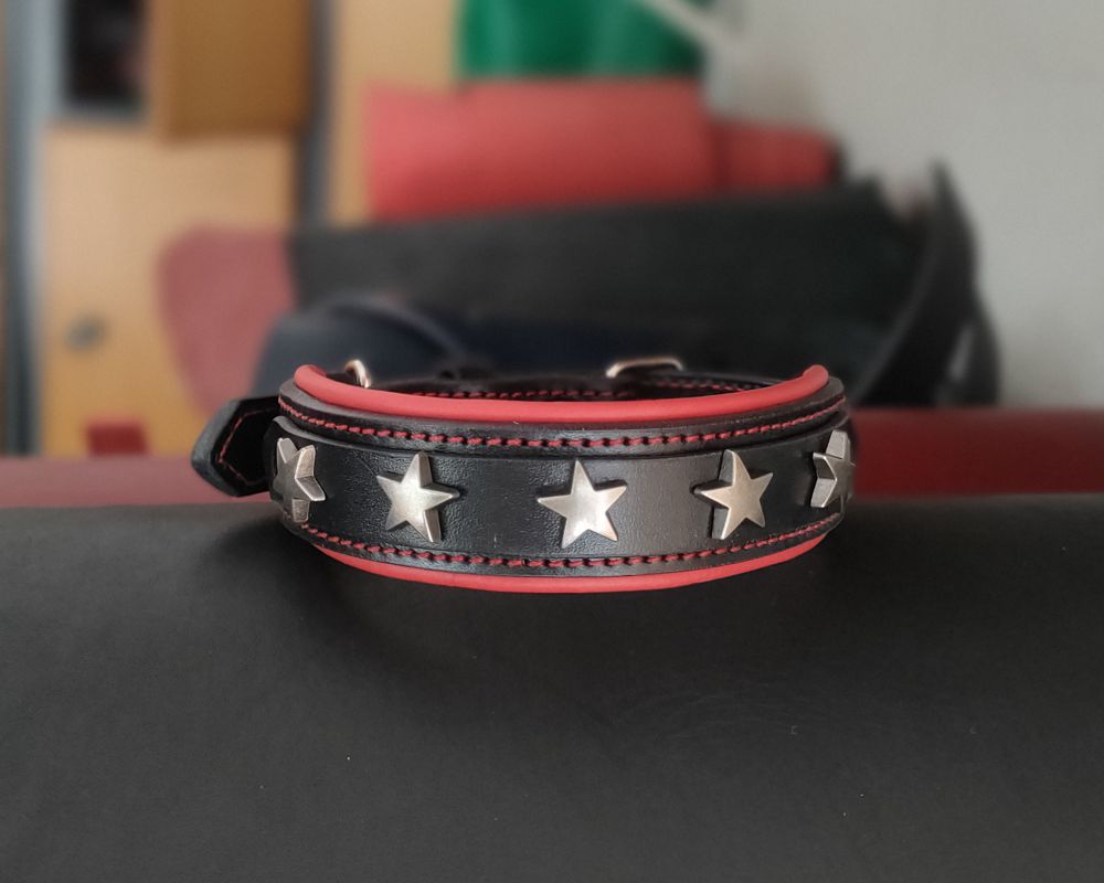 Collar for a Dachshund