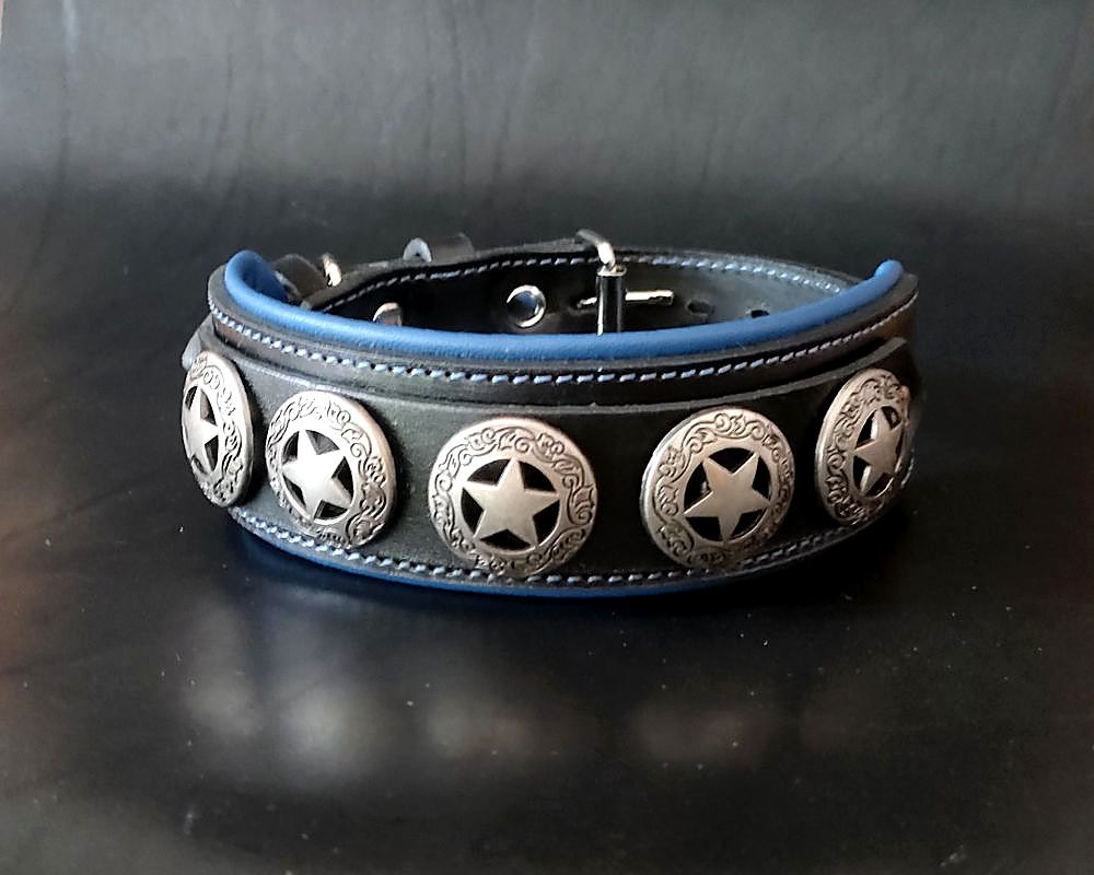 Collar for a French Bulldog